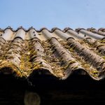 Migliore bonifica eternit Roma