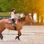 Migliore Scuola di Equitazione Roma